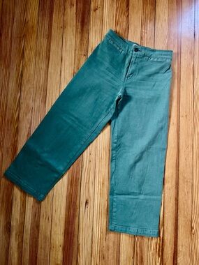 Madewell Emmett Wide Leg Crop Pants - Petite 25